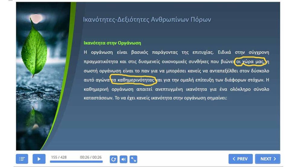 programmata dypa
